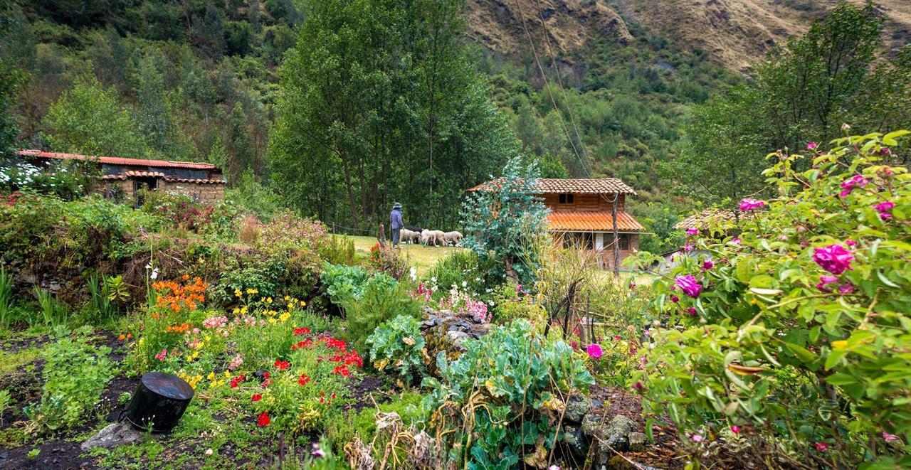 Hospedaje Illariy Yanama Exteriér fotografie